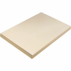 Pacon Tagboard - Craft, Art - 12"Width x 18"Length - 100 / Pack - Manila