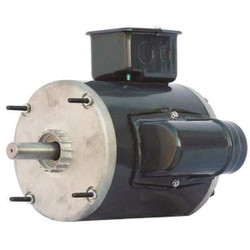 Dayton Motor,1/4 HP,1725,Non-Standard,115V 41NL04