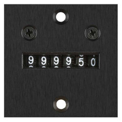 Enm Counter,6 Digit,Panel Mount,115VAC E6B62GM36