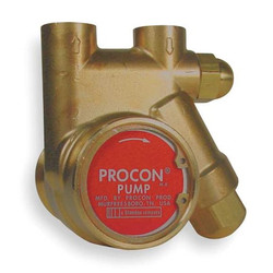 Procon Rotary Vane Pump, 3/8 In, 35 GPH 141A025F11CA 250