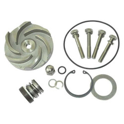 Dayton Pump Repair Kit,For 2ZWZ1A 21TG91