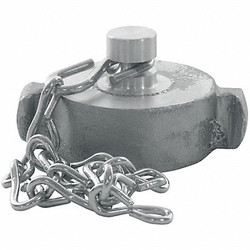 Dixon Hydrant Cap Brass,RockerLug w/Chain,NPSH RFC250