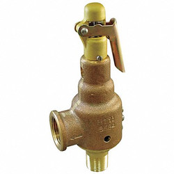 Kunkle Valve Safety Relief Valve,1 x 1-1/4 In,150 psi 6010FEE01-AM0150