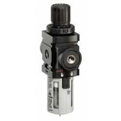 Aro Filt-Reg,1/2"NPT,172 cfm,0.3 micron P39343-110