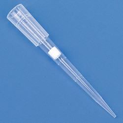 Globe Scientific Filtered Pipet Tip,0.1 to 100uL,PK960 150815