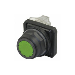 Dayton Non-Illuminated Push Button,30mm,Plastic 30G441