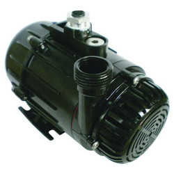 Dayton Pump,Submersible, 1/10HP 12U598