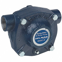 Delavan Ag Pumps Roller Spray Pump,Cast Iron,1in,24gpm,CW  8900C-R
