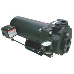 Dayton 1/2 HP,Convertible Jet Pump,100 ft. Lift 5UXK3