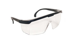 Black Frame Hornets™ with Clear Lens 5270