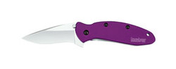 Scallion, Knife Purple 1620PUR