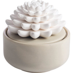 Candle Warmers Airome Porcelain Essential Oil Diffuser - Succulent PDSCL