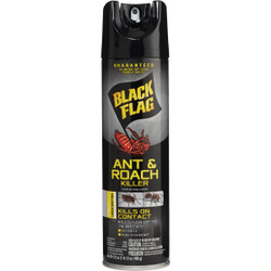 Black Flag 17-1/2 Oz. Unscented Aerosol Spray Ant & Roach Killer HG-11031