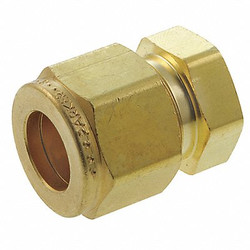 Parker Plug,Brass,Comp,1/2In 8BLEN8-B