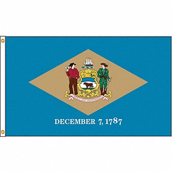 Nylglo Delaware Flag,5x8 Ft,Nylon 140880