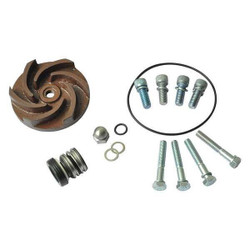 Dayton Pump Repair Kit,For 2ZWP1A,2ZWP2A 21TG37