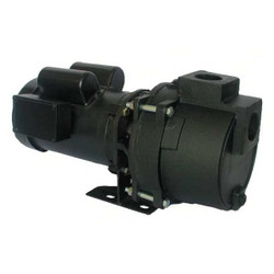 Dayton Pump,1 HP,1Ph,115/230VAC 5RWG6