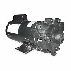 Dayton Pump,3/4 HP,1 Ph,120/240VAC  2ZWP3