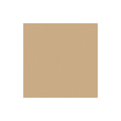 Rust-Oleum V7400 Alkyd Enamel,Dunes Tan,1 gal. 245382