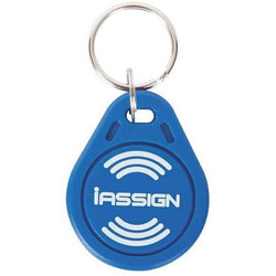 Industrial Scientific iAssign Keychain Tag,PK10  18109420