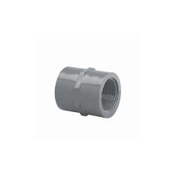 Lasco Fittings Coupling, 1/2 in, Schedule 40,FNPT,Gray 43000545