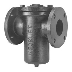 Keckley Basket Strainer,9 1/2" H,200 psi,Bolted 21FFS-CI125P34-FBI-GFV