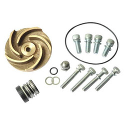 Dayton Pump Repair Kit,For 2ZWR4A 21TG49