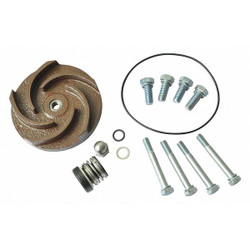 Dayton Pump Repair Kit,For 2ZWP7A,2ZWP8A 21TG43