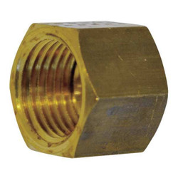 Legris Nut,Brass,Female Comp,6mm,PK50 0110 06 00