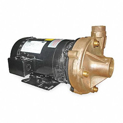 Dayton Pump,3 HP,3 Ph,208 to 240/480VAC 2ZXA8