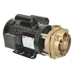 Dayton Turbine Pump,1-1/2 HP,115 to 230V 53EA98