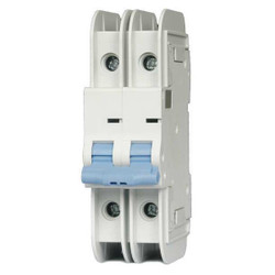 Dayton IEC Mini Circuit Breaker,6A,2P,480V 33V935