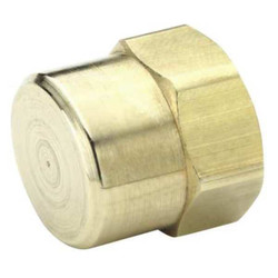 Parker Hex Head Cap,Brass,3/8 in Pipe Size,FNPT 213P-6