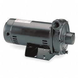 Dayton Pump,1/2 HP,1 Ph,120/240VAC 4RU76