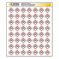 Ghs Safety Label,Gloss,Skull and Crossbones,PK1120 GHS1215