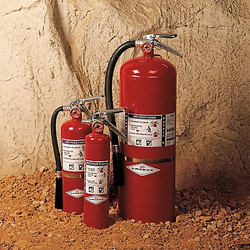 Amerex Fire Extinguisher,Steel,Red,BC B410T