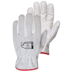 Endura Gloves,White,M Glove Size,PK12 378SBM