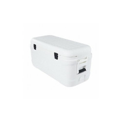 Igloo Cooler,120qt.,White,Plastic 50073