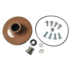 Dayton Repair Kit,For 2ZXJ7,2ZXJ8,2ZXJ9,2ZXK1 21TH09