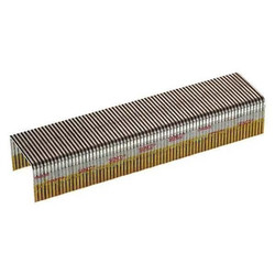 Senco Staples,16 ga.,3/4 in. L,PK10000 P11BAB