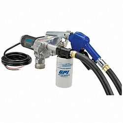 Gpi Fuel Transfer Pump,HP 1/4,12VDC M-180S-AU W/FILTER