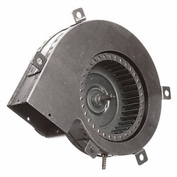 Fasco OEM Blower,9-1/2in. Overall W,208/230VAC A251