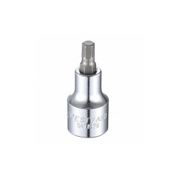 Westward Socket Bit, Steel, 1/2 in, TpSz 1/4 in 54TM76