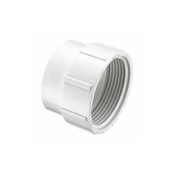 Manufacturer Varies Cleanout Adapter, Schedule DWV, 6 in P105-060