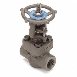 Newco Gate Valve,3/4 In.,Carbon Steel 3/4-18T-FS2-BB-RP-NC