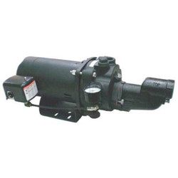 Dayton 3/4 HP Shallow Well Jet Pump w/Ejector 5UXK0