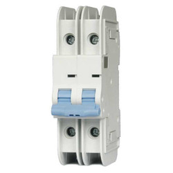 Dayton IEC Mini Circuit Breaker,10A,2P,480V 33V953
