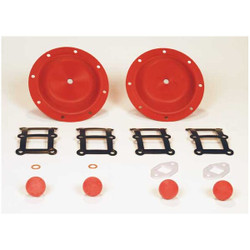 Sandpiper Diaphragm Pump Repair Kit,TPV,For 6WY84 476.309.354