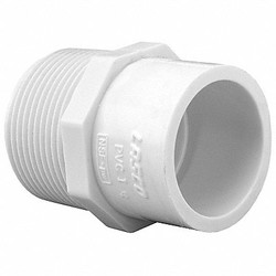 Lasco Fittings Adapter, 3/4 x 1/2 in, Schedule 40,White 436074BC