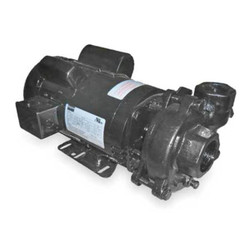 Dayton Pump,2 HP,1 Ph,120/208 to 240VAC 2ZWP9